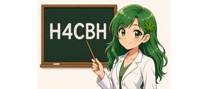 What is H4CBH: It's So Hot Right Now