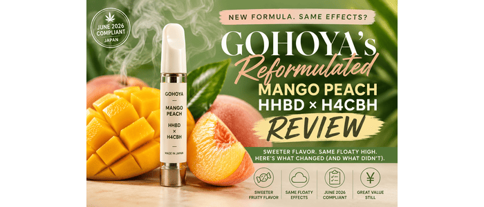 Update: Gohoya Mango Peach HHBD x H4CBH Review